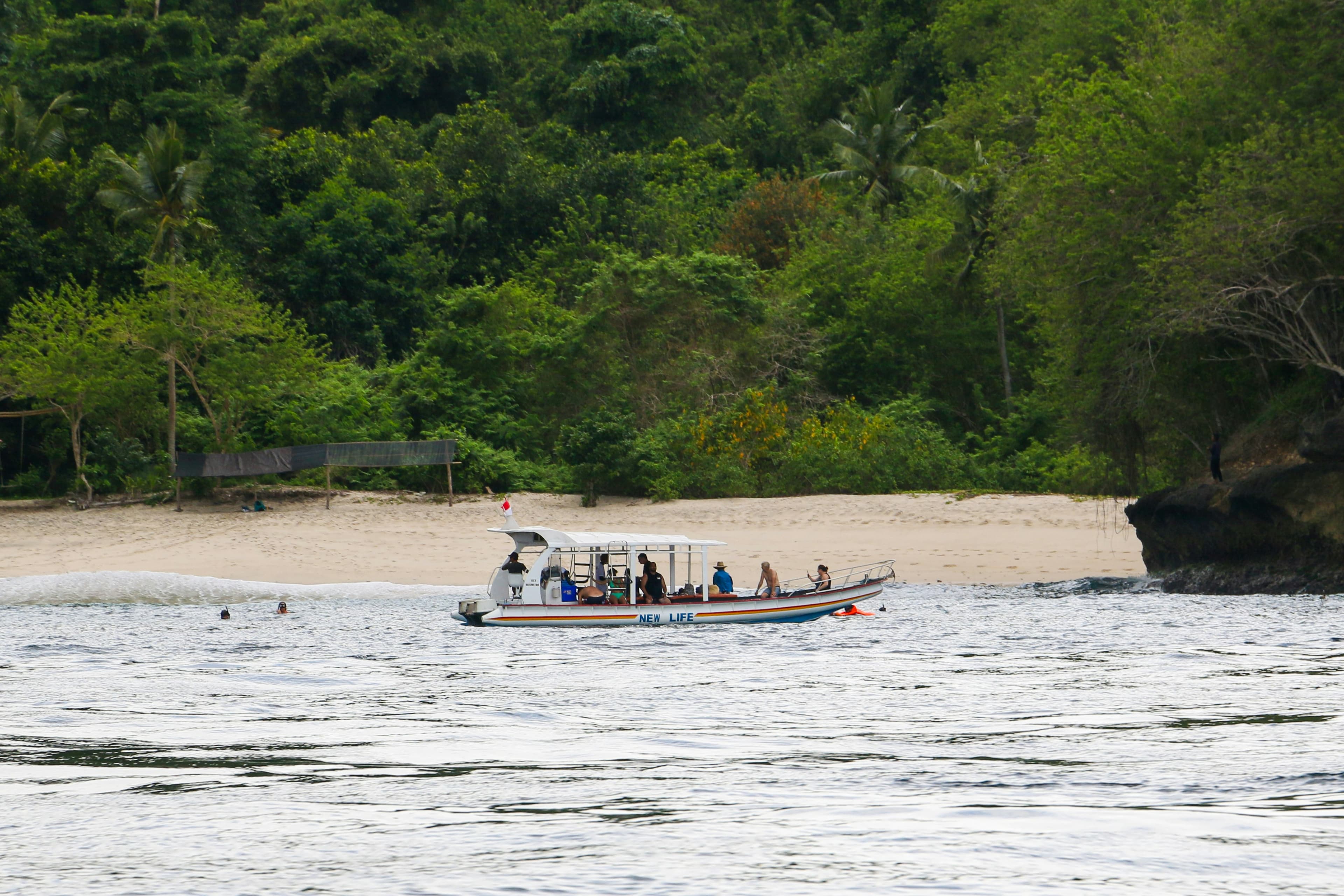 Snorkel boat with travellers near a jungle-backed beach